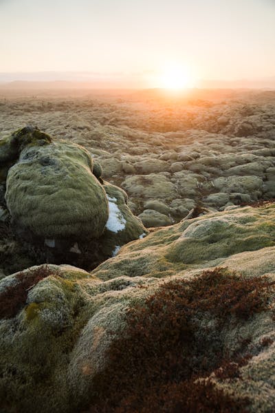 Lava Cave Expeditions